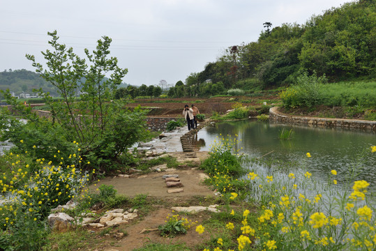 美丽乡村