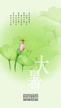 大暑手繪插畫