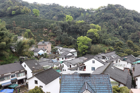 杭州杨梅岭景区