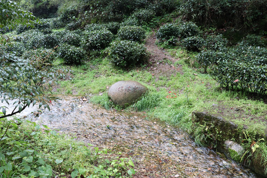 杭州杨梅岭景区