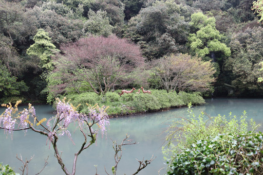 杭州杨梅岭景区