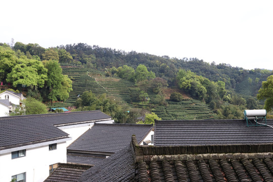 杭州杨梅岭景区民宿设计