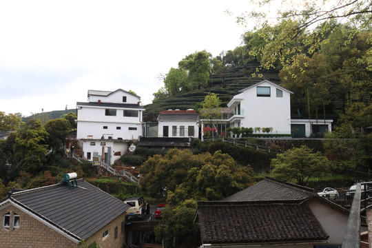 杭州杨梅岭景区民宿