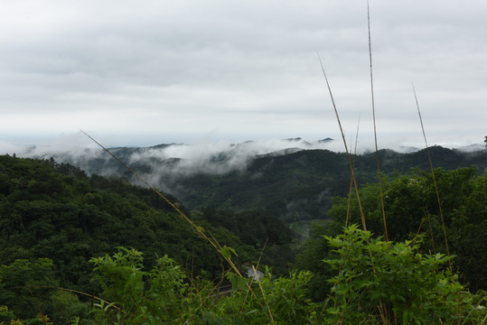 山川风光