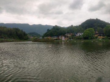 乡村鱼塘风景