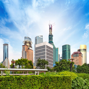 上海的公园和现代建筑