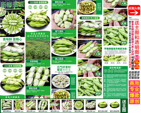 新鮮蠶豆詳情頁