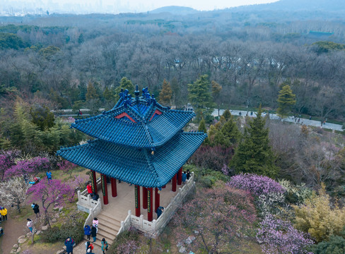 航拍梅花山