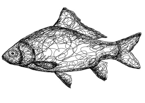 魚