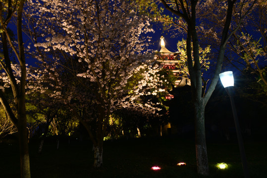 伍相祠夜景