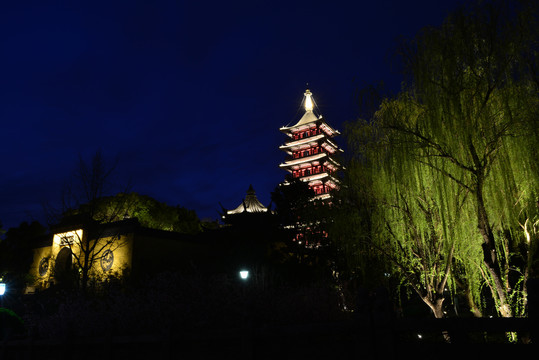 壕股禅院夜景