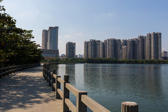 广东湛江滨湖湿地公园风光