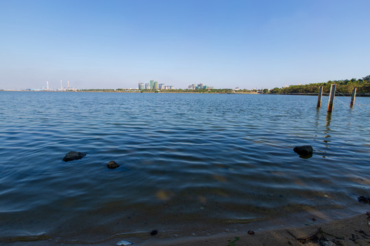 广东湛江滨湖湿地公园风光