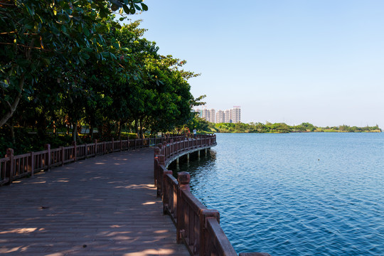 广东湛江滨湖湿地公园长廊