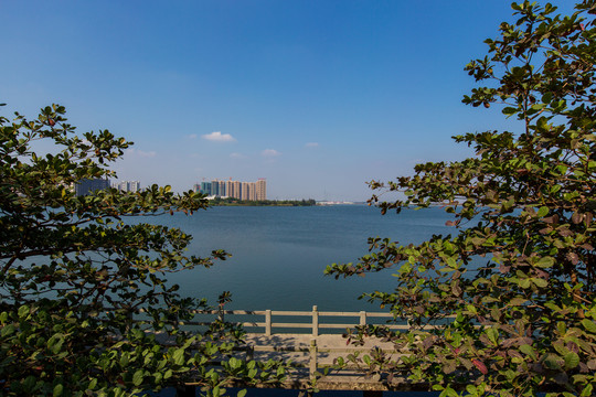 广东湛江滨湖湿地公园全景