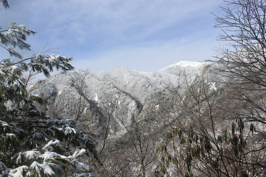 雪景