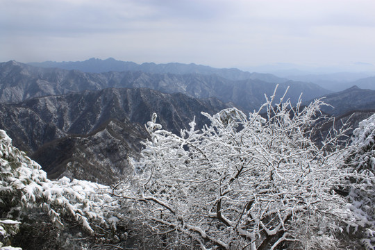 雪景