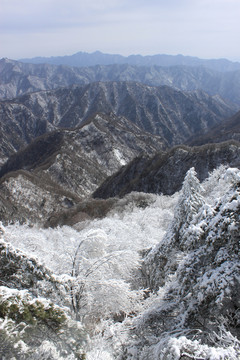 雪景