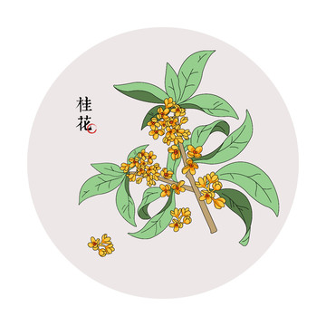 桂花矢量元素