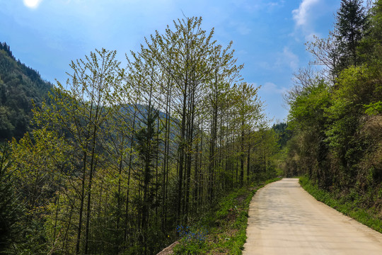 高山峡谷公路