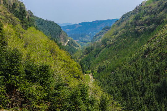 高山峡谷