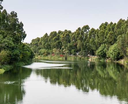 中国福建惠安小河风景