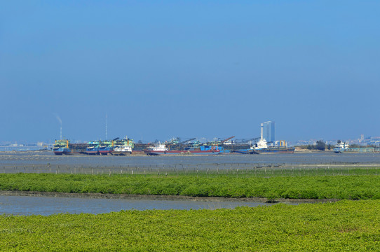 湄洲湾滩涂风景