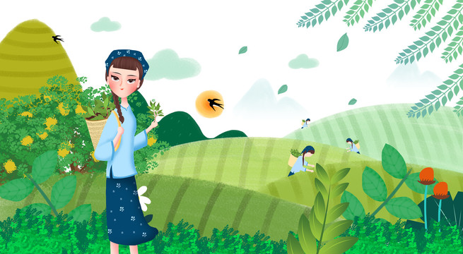 春茶茶園采茶女茶葉包裝插畫