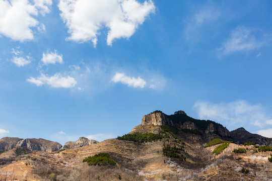 春山如黛