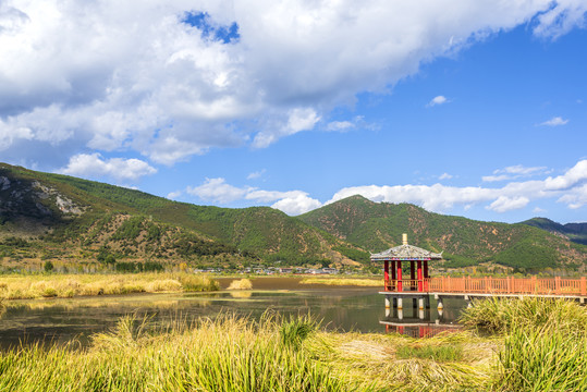 泸沽湖草海风光