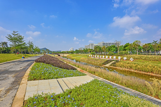 深圳洋涌河