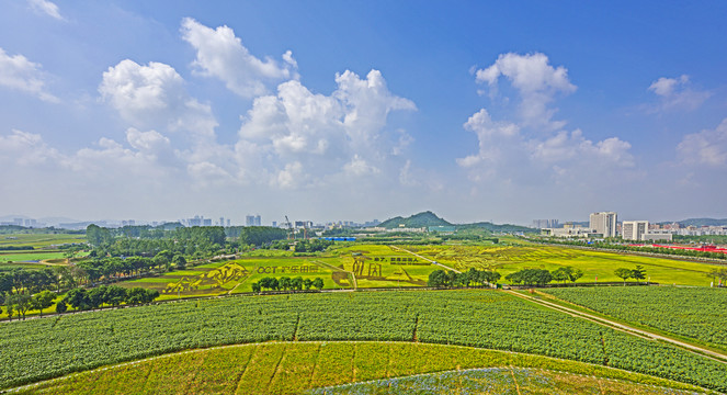 深圳光明小镇欢乐田园