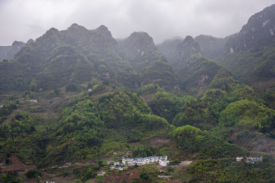 青山