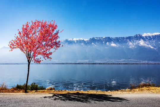 苍山洱海