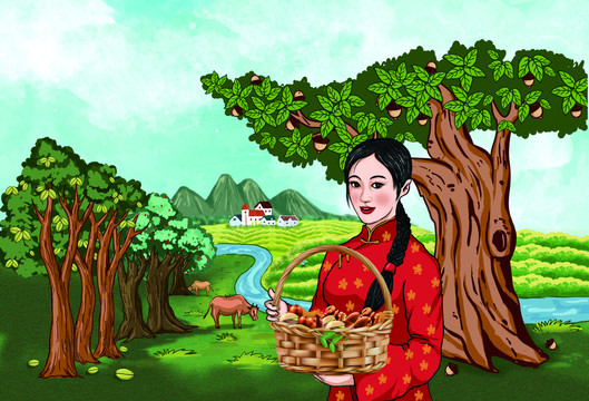 堅(jiān)果插畫(huà)