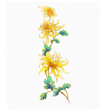菊花花紋圖案