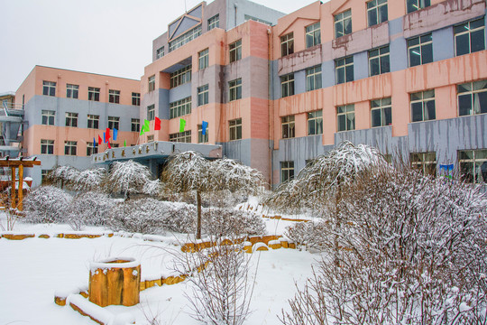 学校教学楼与一排挂着雪挂的树