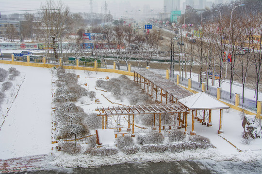 花园亭廊树木树丛雪景俯瞰图