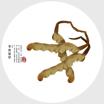 冬蟲(chóng)夏草