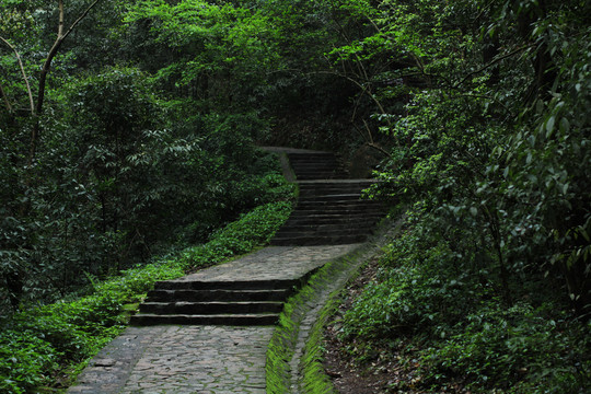 山林山道