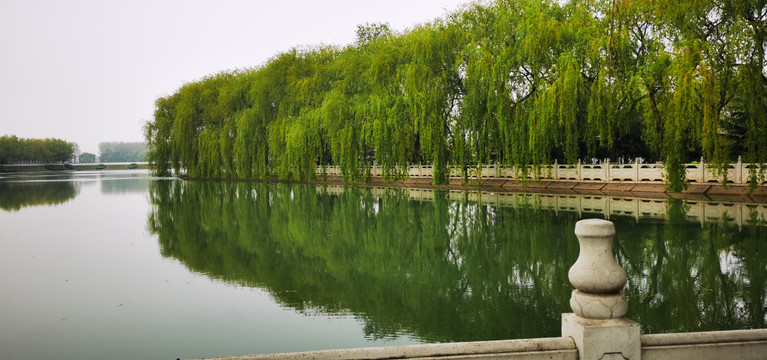 郏县青龙湖公园