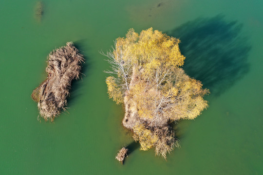 湿地沼泽