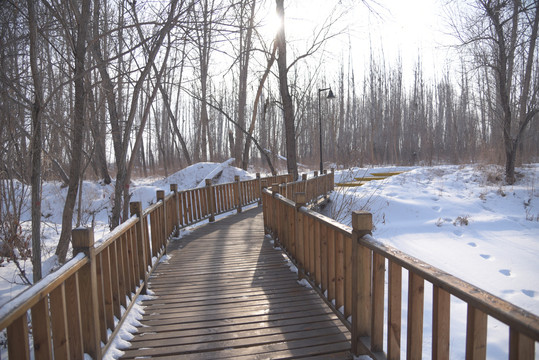 冬季郊外两边有木栅栏的木板小道