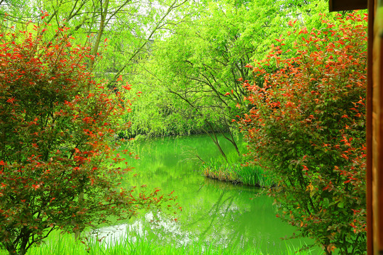 杭州西溪湿地