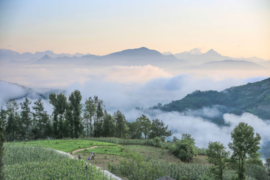 县河八