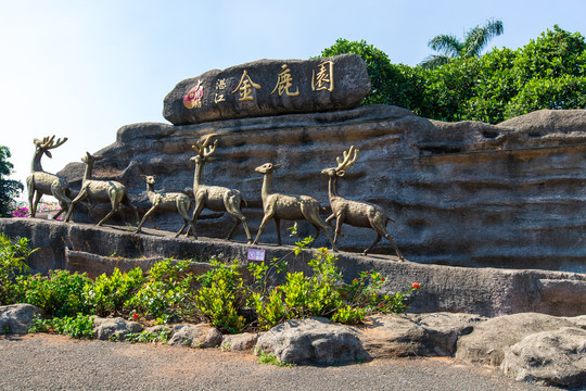 广东湛江金鹿园梅花鹿雕像