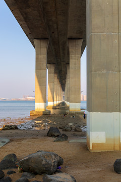 广东湛江海湾大桥桥底柱墩