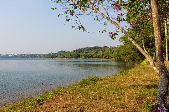 广东湛江湖光岩风景区镜湖风光