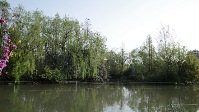 大宁鸟岛