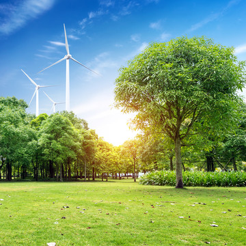 绿色草原与风力涡轮机发电